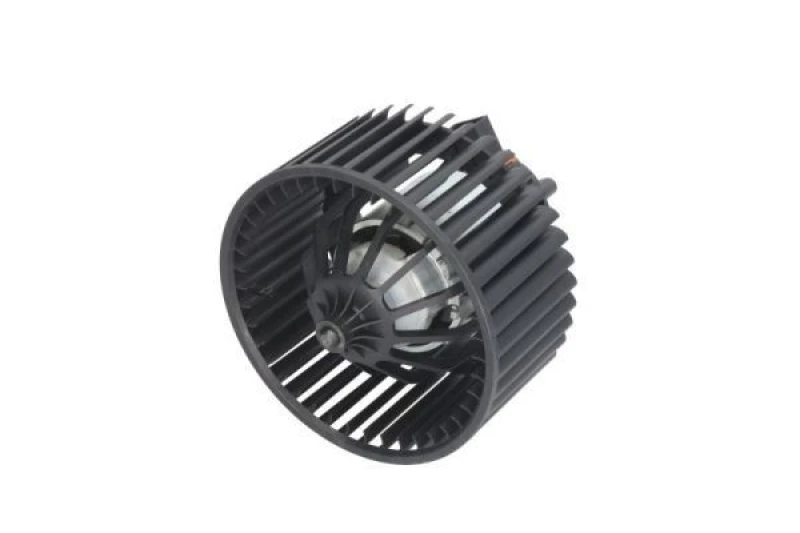 Image of THERMOTEC Blower motor THERMOTEC DDF004TT