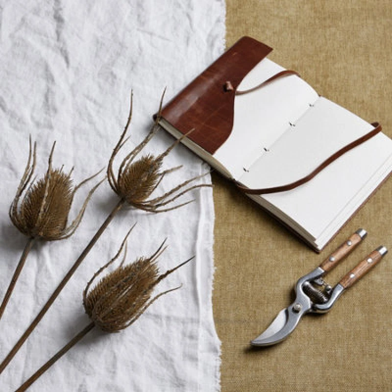 Image of Large Brown Triple Teasle Stem