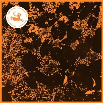 Image of Downliners Sekt - Silent Ascent Vinyl