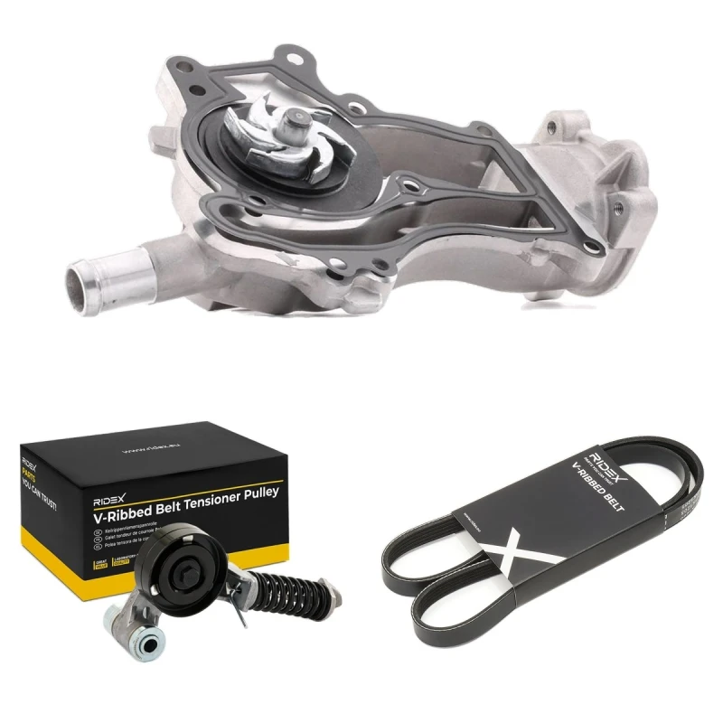 Image of RIDEX 4172P0081 Water Pump + V-Ribbed Belt Kit Water Pump + V-Ribbed Belt Kit (4172)