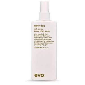 Image of evo Salty Dog Salt Spray 200ml