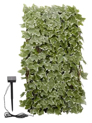 image of Smart Solar Solar Inlit Ivy Trellis 90X180