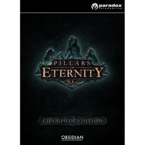 Image of Pillars of Eternity Champion Edition PC Game