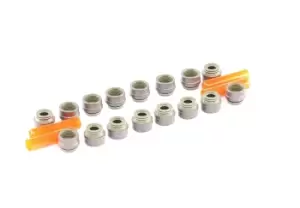 Image of CORTECO Seal Set, valve stem VW,AUDI,BMW 19030310 11349059172