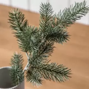 Image of Crossland Grove Pine Spray (3Pk) Green 500Mm