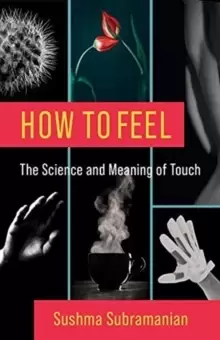 Image of How to Feel : The Science and Meaning of Touch