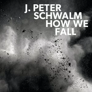 Image of J. Peter Schwalm - How We Fall Vinyl