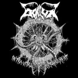 Image of Taphonomy by Bokluk CD Album