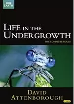 Image of David Attenborough: Life in the Undergrowth - The Complete Seires (2005)