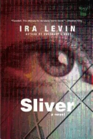 Image of sliver a novel