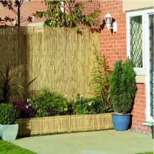 image of Wickes Reed Garden Screening - 2000 x 4000mm