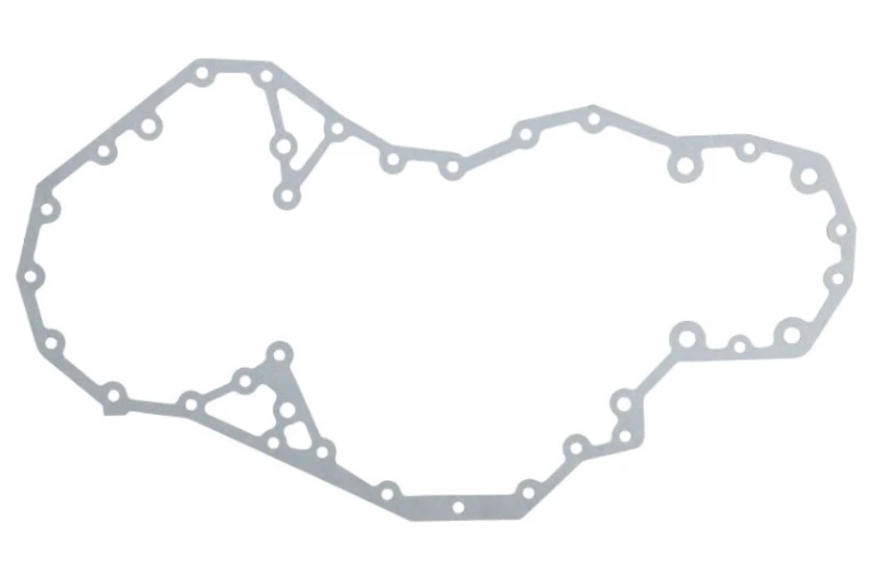 Image of LEMA 22700.13 Gaskets Gasket,timing case (568)