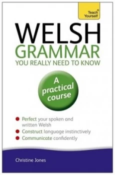 Image of Welsh grammar you really need to know by Christine Jones