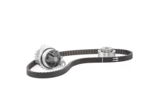 Image of DOLZ Water Pump + Timing Belt Kit KD006 PEUGEOT,CITROEN,206 Schragheck (2A/C),206 SW (2E/K),106 II Schragheck (1A_, 1C_)
