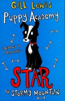 Image of Star on Stormy Mountain by Gill Lewis Paperback