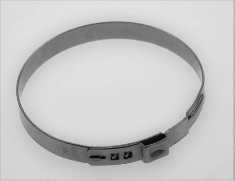 Image of Clamping Clip SPIDAN 190823