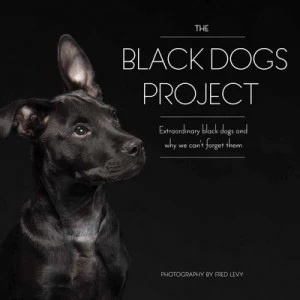Image of The Black dogs project by Fred Levy