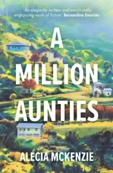 Image of A Million Aunties : An emotional, feel-good novel about friendship, community and family