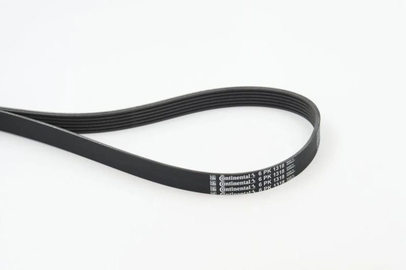 Image of CONTITECH 6PK1318 V-ribbed belt V-Ribbed Belts (305)