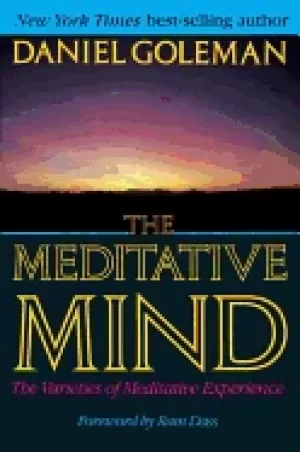 Image of meditative mind the varieties of meditative experience