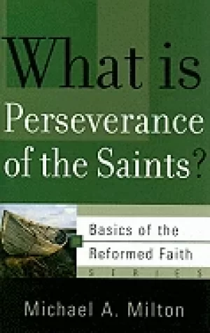 Image of what is perseverance of the saints