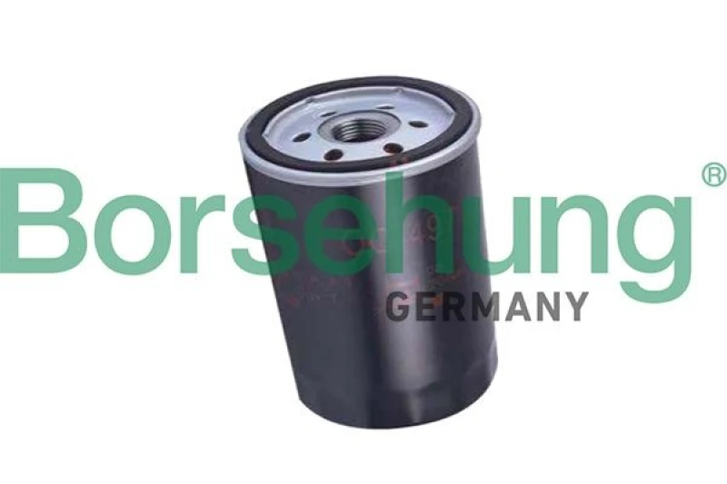 Image of Borsehung Oil filter Borsehung B19032