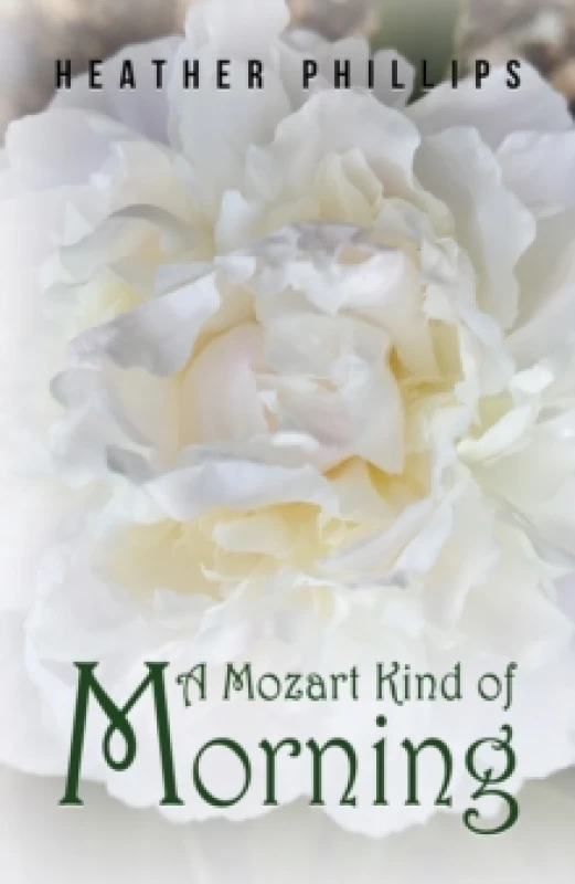 Image of A Mozart Kind of Morning Hardback