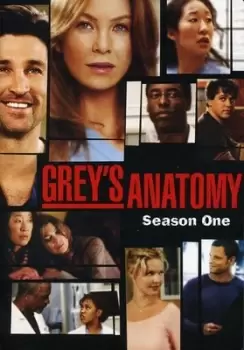 Image of Grey's Anatomy: The Complete First Season - DVD - Used
