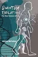 Image of quantum evolution life in the multiverse