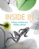 Image of inside in x rays of natures hidden world