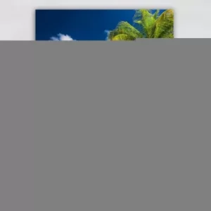 Image of 345773612_70100 Multicolor Decorative Canvas Painting