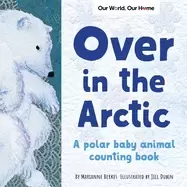 Image of over in the arctic