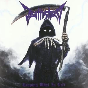 Image of Deathstorm - Reaping What Is Left Vinyl