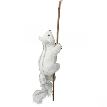 Image of White Squirrel On Branch Decoration
