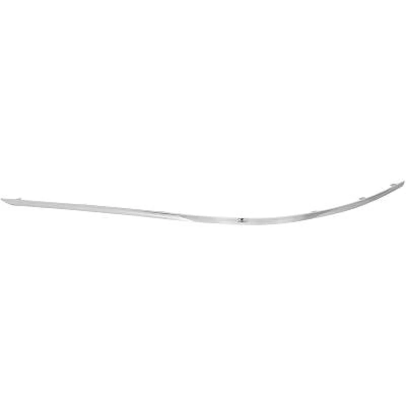 Image of Bumper moulding DIEDERICHS 1672168
