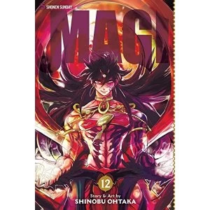 Image of Magi: The Labyrinth of Magic, Vol. 12: The Labyrinth of Magic by Shinobu Ohtaka (Paperback, 2015)