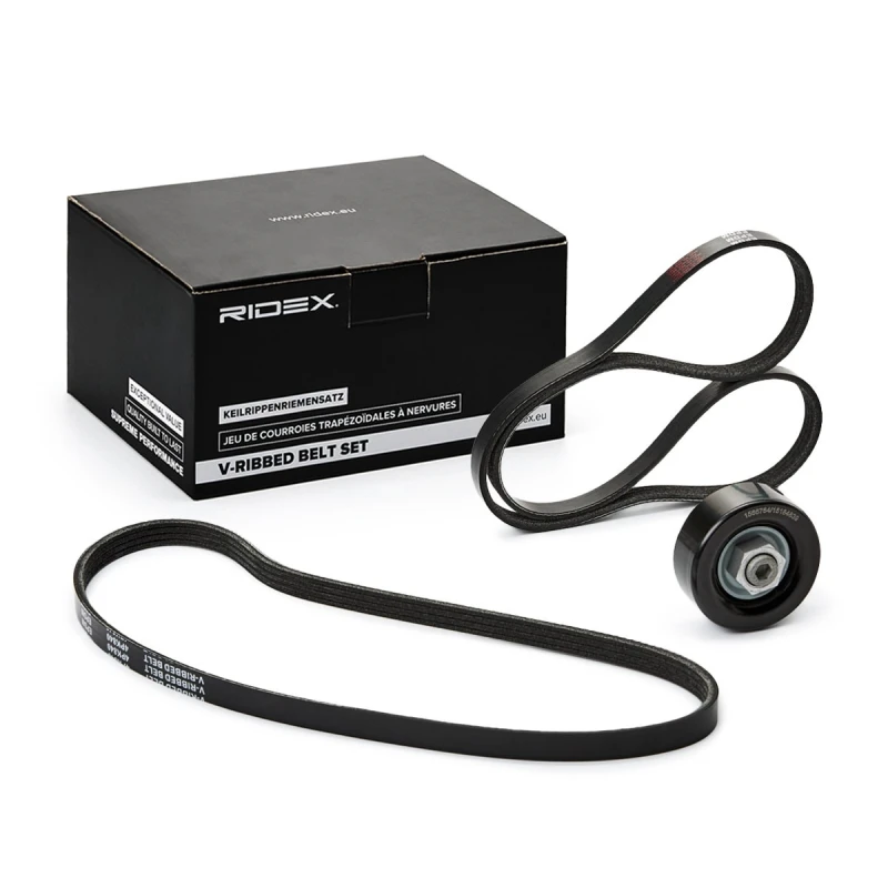Image of RIDEX 542R0446 V-ribbed belt set V-Ribbed Belt Set (542)