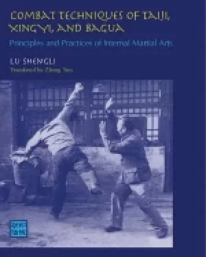 Image of combat techniques of taiji xingyi and bagua principles and practices of int