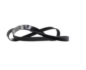 Image of RIDEX V-ribbed belt VW,BMW,OPEL 305P0144 11287509520,11287636372,55565301 55565302,55565303,55565304,55580053,5750T6,5750YC,5750Z1,96337272,55258359