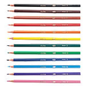 Image of BIC Colouring Pencils 887830 Assorted 144 Pieces