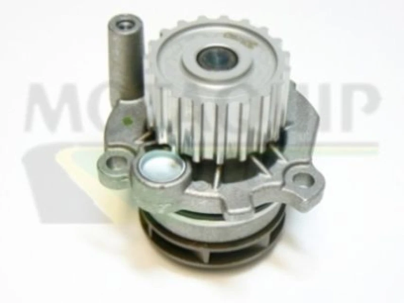 Image of MOTAQUIP Water pump MOTAQUIP VWP775
